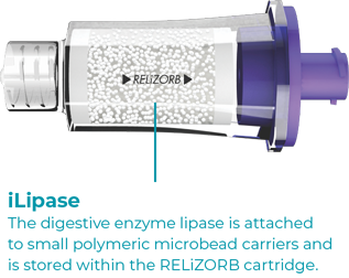 iLipase is made up of the digestive enzyme lipase attached to small polymeric microbead carriers and is stored within the RELiZORB cartridge