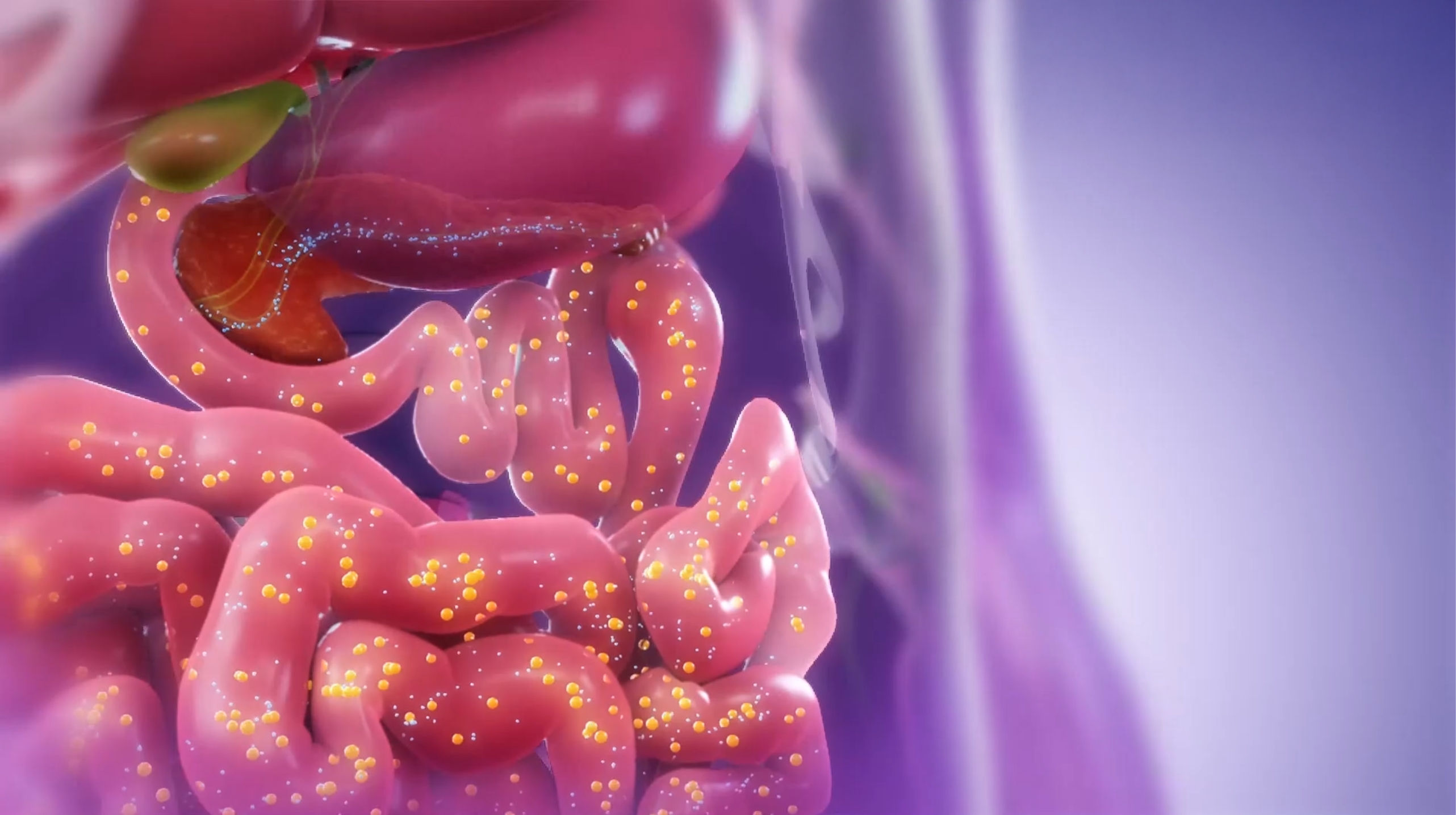 Video explaining how problems with pancreatic enzymes can affect how your body digests fats